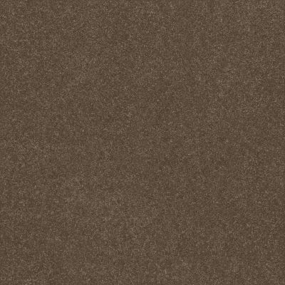 Shaw Floors Abbey&ftg Pet Perfect Take Notice III 12 Mission Ridge 00705_7J0M0