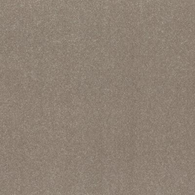 Shaw Floors Abbey&ftg Pet Perfect Take Notice III 15 Chic Greige 00111_7J0M1