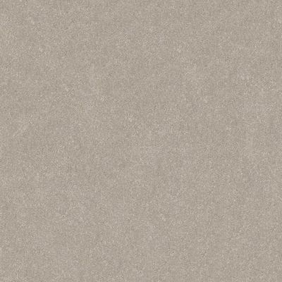 Shaw Floors Abbey&ftg Pet Perfect Take Notice III 15 Sculpture 00115_7J0M1