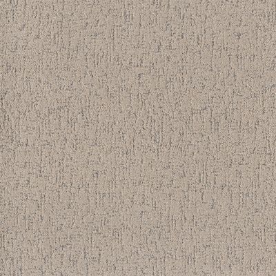 Shaw Floors Abbey&ftg Pet Perfect Very Social Warm Light 00116_7J0M8