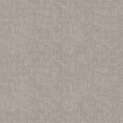Shaw Floors Abbey&ftg Pet Perfect Very Social Rock Crystal 00508_7J0M8