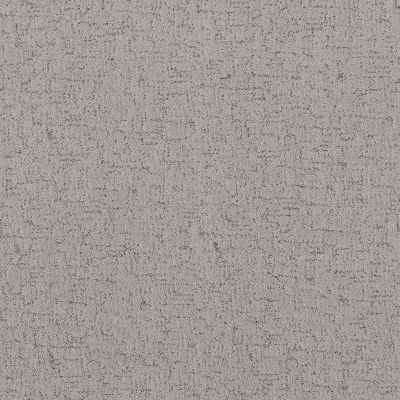 Shaw Floors Abbey&ftg Pet Perfect Very Social Gravity 00556_7J0M8