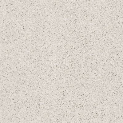 Shaw Floors Welcome Sight Canvas 00190_7J0P7