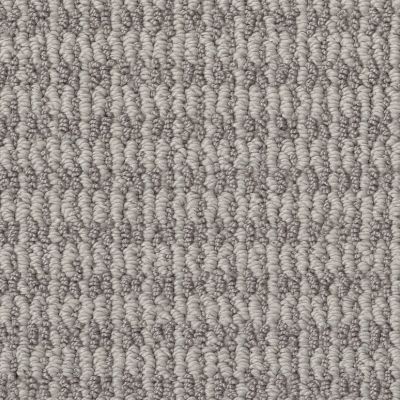 Shaw Floors Cptsplus Pet Perfect Mia Split Sediment 00104_7J0S3