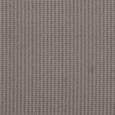 Shaw Floors Cptsplus Pet Perfect Mia Stormy Breeze 00505_7J0S3