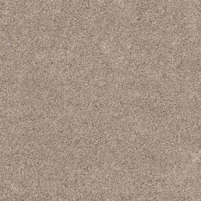 Shaw Floors Abbey&ftg Pet Perfect Happy Attitude II Washed Linen 00103_7K0R7