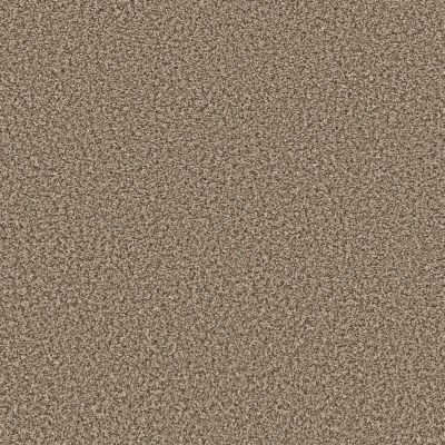 Shaw Floors Trader Bay Suede Buff 00111_7L0D7