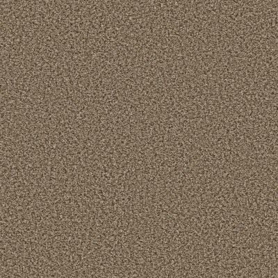 Shaw Floors Trader Bay Safari 00112_7L0D7