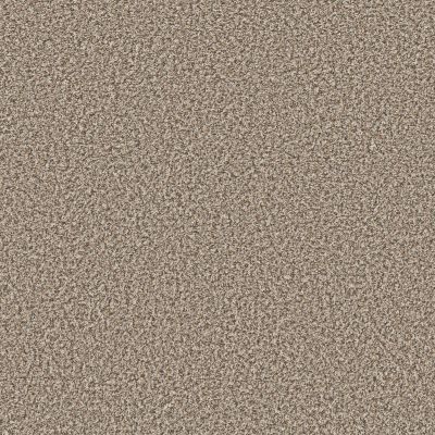 Shaw Floors Trader Bay Sugar Cookie 00132_7L0D7