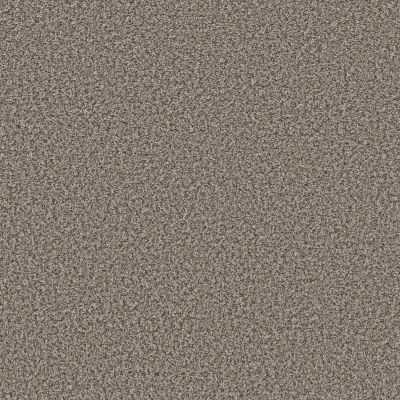 Shaw Floors Trader Bay Sweet Taupe 00532_7L0D7