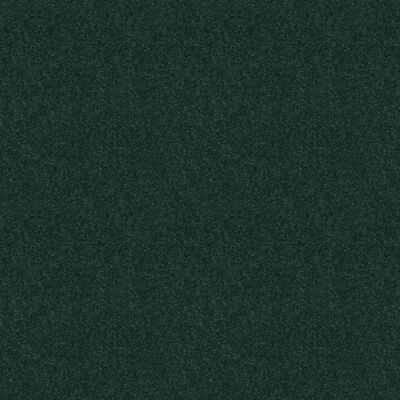 Shaw Floors Nationwide Fox Point 12′ Polo 55301_7X892