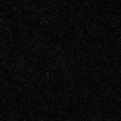 Shaw Floors Nationwide Fox Point 12′ Coal Black 55502_7X892