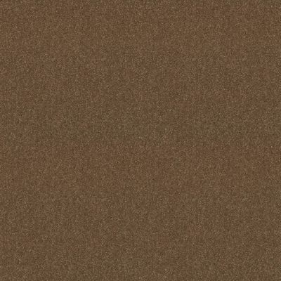 Shaw Floors Nationwide Fox Point 12′ Driftwood 55720_7X892