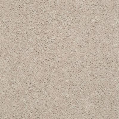Shaw Floors Nationwide Fox Point 15′ Cashmere 55103_7X893