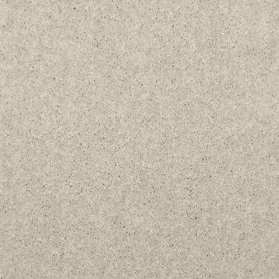 Shaw Floors Nationwide Fox Point 15′ Dove 55700_7X893