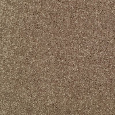 Shaw Floors Nationwide Fox Point 15′ Driftwood 55720_7X893