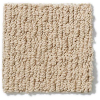 Anderson Tuftex SFA City Charmer Baked Beige 812SF_00173