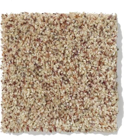 Anderson Tuftex SFA Go Ahead I Berber Raw Silk 813SF_0172B