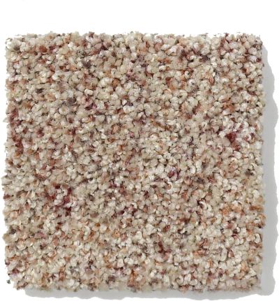 Anderson Tuftex SFA Go Ahead I Berber Heather 813SF_0174B