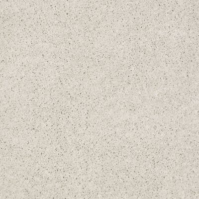 Anderson Tuftex Nfa/Apg Pure Style I Chic Cream 00112_814AG