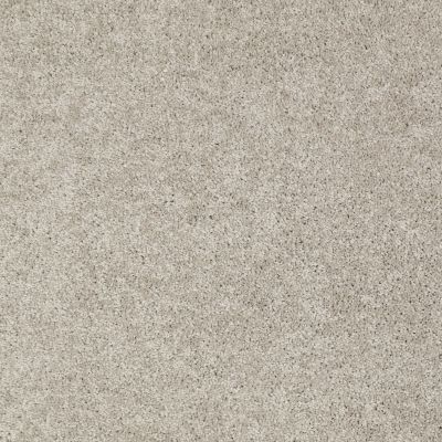 Anderson Tuftex Nfa/Apg Pure Style I Valley Mist 00523_814AG