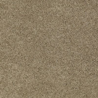 Anderson Tuftex Nfa/Apg Pure Style I Dusk 00534_814AG