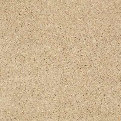 Anderson Tuftex SFA Go Ahead I Semolina 00212_814SF