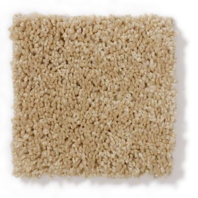 Anderson Tuftex SFA Go Ahead I Macadamia 814SF_00232