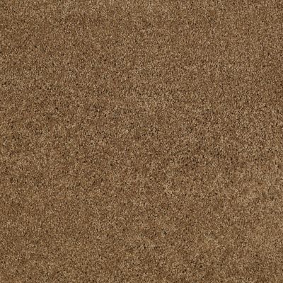 Anderson Tuftex SFA Go Ahead I Bronze Glow 00727_814SF