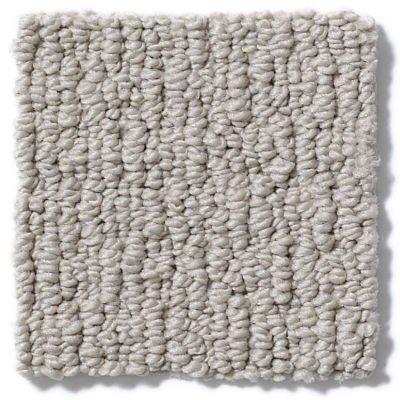 Anderson Tuftex Nfa/Apg Modern Creation Iced Gray 820AG_00552