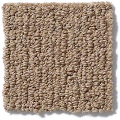 Anderson Tuftex Nfa/Apg Modern Creation Bali Sand 820AG_00782