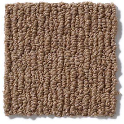 Anderson Tuftex Nfa/Apg Modern Creation Molasses 820AG_00783