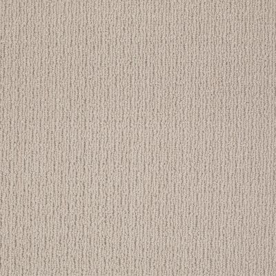 Anderson Tuftex Shaw Design Center Masterful Iced Gray 00552_820SD
