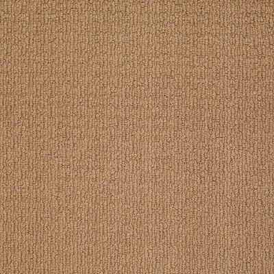 Anderson Tuftex SFA Let It Shine English Scone 00275_820SF