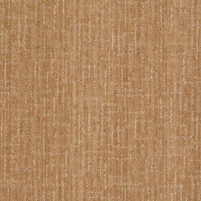 Shop Anderson Tuftex Stainmaster Flooring Center Happy Design CUT ...