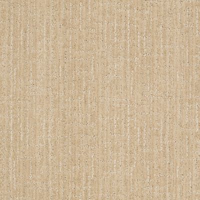 Anderson Tuftex Shaw Design Center Modern Glamour Ivory Oats 00213_830SD
