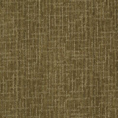 Anderson Tuftex Shaw Design Center Modern Glamour Garden Medley 00325_830SD