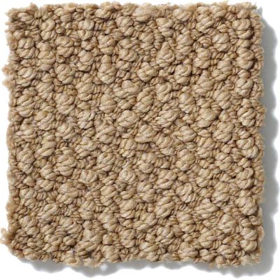 Anderson Tuftex SFA Home Classic Praline 835SF_00762