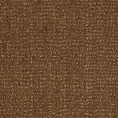 Anderson Tuftex SFA By My Side Toasted Coconut 00725_863SF