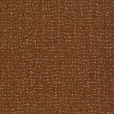 Anderson Tuftex SFA By My Side Roman Brick 00765_863SF