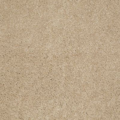 Anderson Tuftex Candor Touch Of Tan 00173_866DF