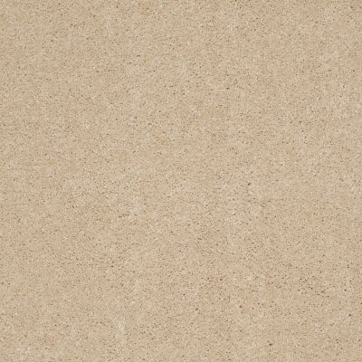 Anderson Tuftex Candor Royal Cream 00211_866DF