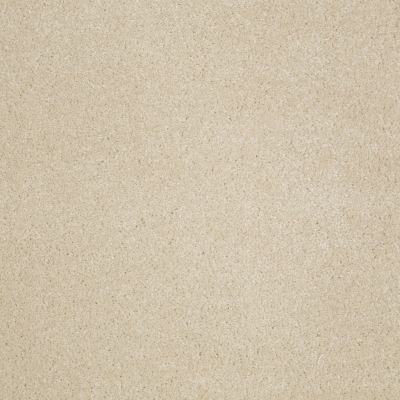 Anderson Tuftex Star Power Touch Of Tan 00173_872DF
