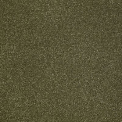 Anderson Tuftex Star Power New Willow 00335_872DF