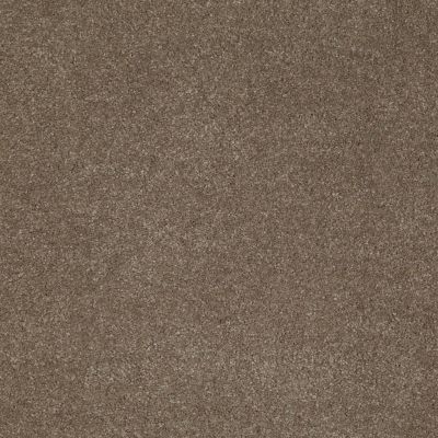 Anderson Tuftex Shaw Design Center Hear It Loud Misty Taupe 00575_872SD