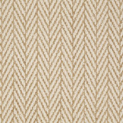 Anderson Tuftex Exceptional Desert Tan 00274_877CP
