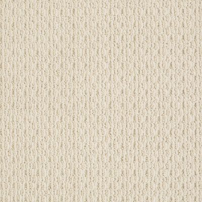 Anderson Tuftex SFA Charming Look Brushed Ivory 00111_883SF