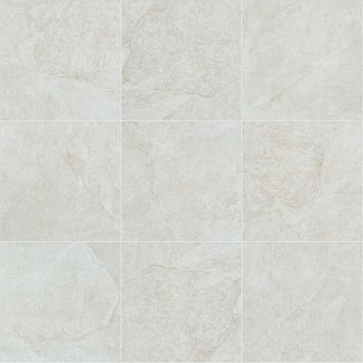 Shaw Floors Ceramic Solutions Crown 13 White 00100_224TS