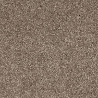 Anderson Tuftex Shaw Design Center Turn It Up II Simply Taupe 00572_942SD