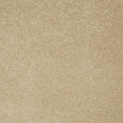 Anderson Tuftex Pet Perfect Bear Honeycomb 00201_950DF